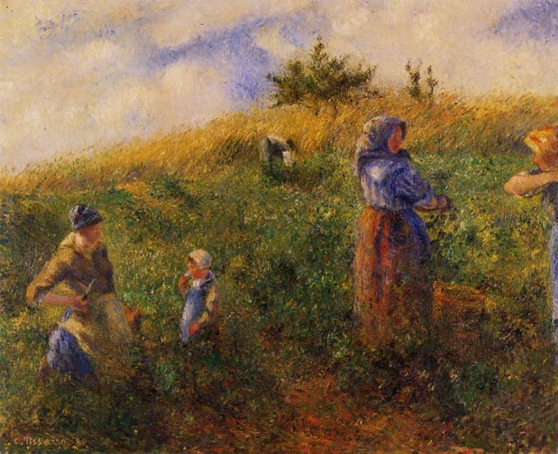 Picking Peas - Camille Pissarro Paintings